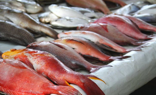 fish cemical